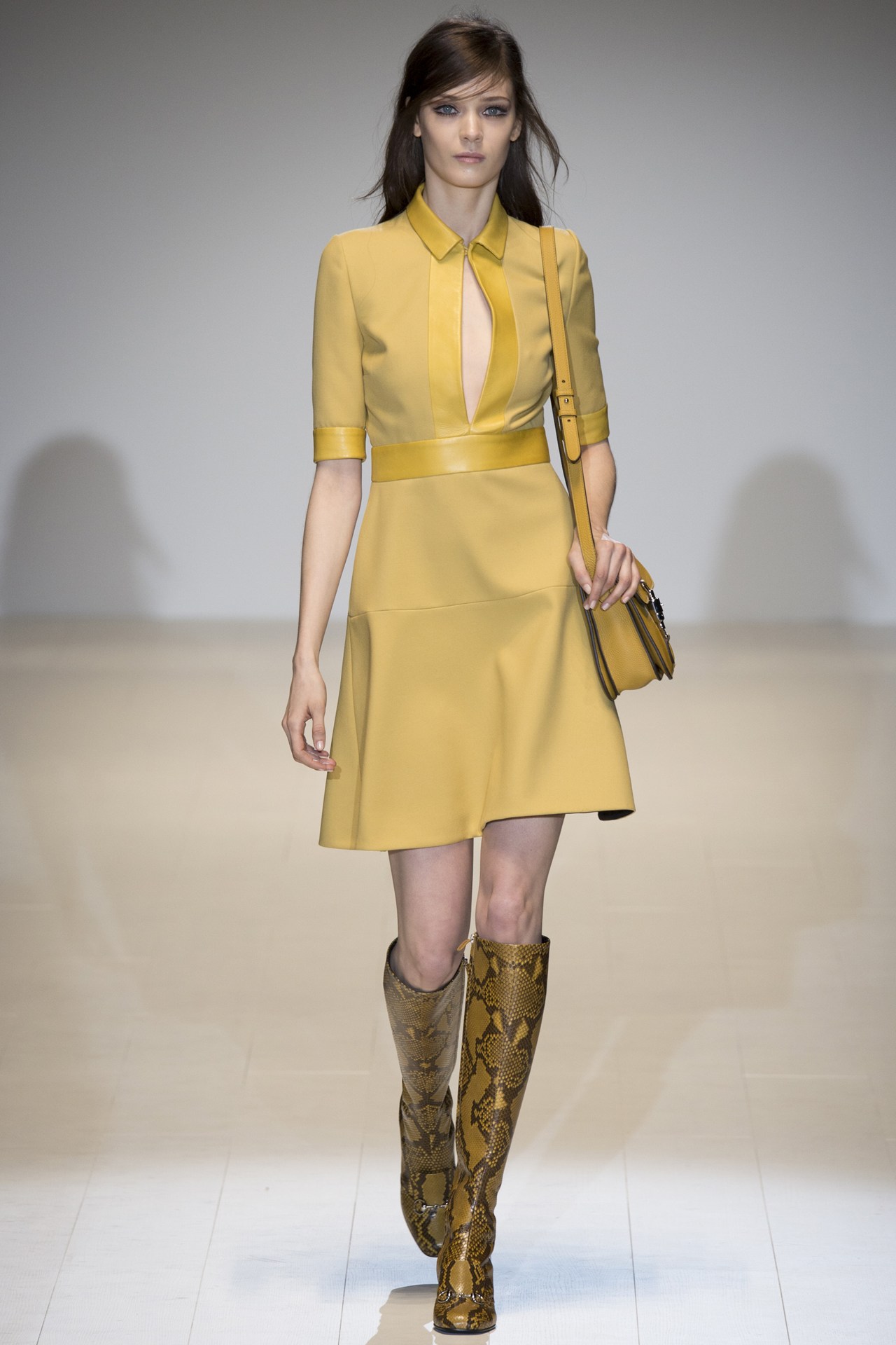 Bold Prints - Luxe Colore